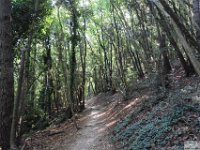 2026-06-30 Il Monte Conero 036